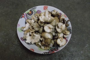 Shiitakes Le Jardin de Guillaume 2