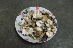 Shiitakes Le Jardin de Guillaume 3