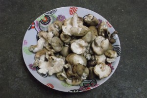 Shiitakes Le Jardin de Guillaume