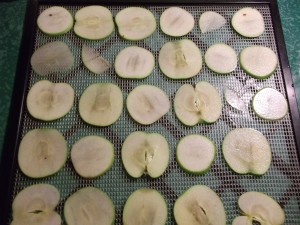 [Le Jardin de Guillaume] Pommes 201602081605a